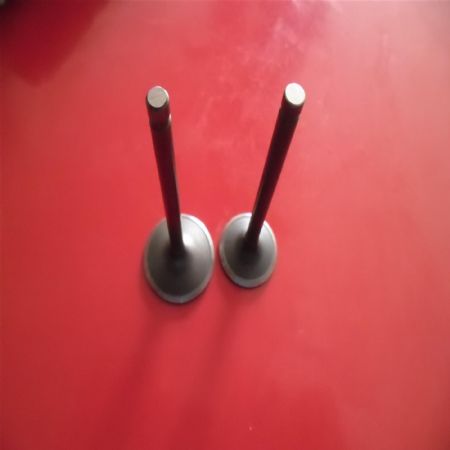 Xmax 250 Subap Takımı